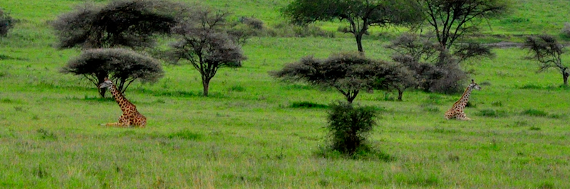 Melanie Heinrich Travel Images Africa